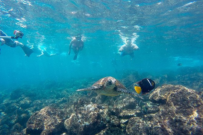 Full Day Tour Pinzon Island + La Fe/Las Palmas - Snorkeling & Fishing - Pinzón Island snorkeling: the reason this tour fills up