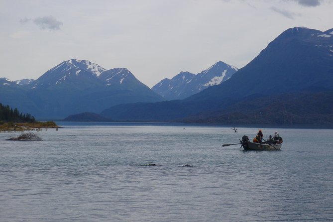 Full-Day Upper Kenai River Guided Fishing Trip - Transportation and Meeting Point Reality
