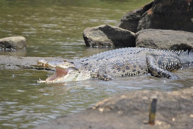 Galle Day Tour: Boat Safari, Dutch Fort, Stick Fishing & Turtles - Price and value: is $95 a good deal?