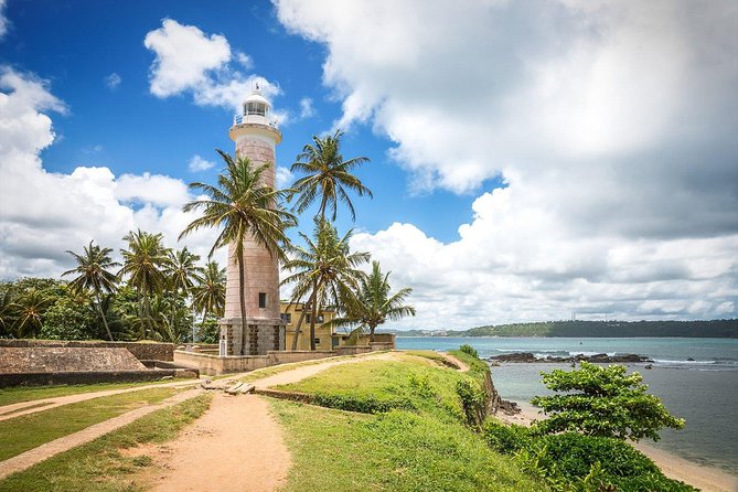 Galle Day Tour: Boat Safari, Dutch Fort, Stick Fishing & Turtles - Sea turtles at the Victor Hasselblad center