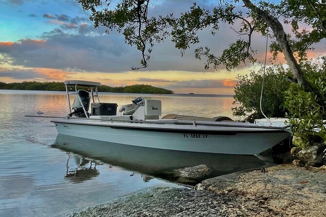Golden Glare Fishing Charter with Experienced Captain - Captain Dan’s Tarpon lesson: how coaching changes your odds