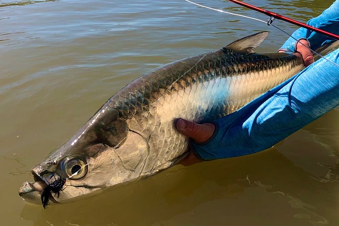 Golden Glare Fishing Charter with Experienced Captain - Everglades National Park: a special setting, and a cost to plan for