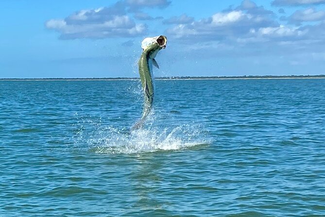 Golden Glare Fishing Charter with Experienced Captain - Price and value: $650 for up to two people