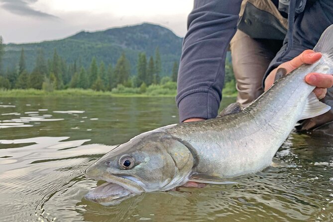 Guided Fishing Adventure in Whistler - Fishing Near Whistler: What You’re Actually Casting Into