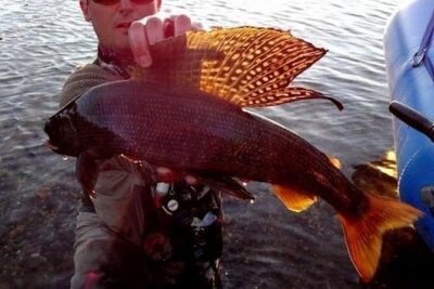 Guided Fishing Excursion in Fairbanks (Full-Day) - Pickup timing in Fairbanks: starting at 8:30 a.m. without the stress