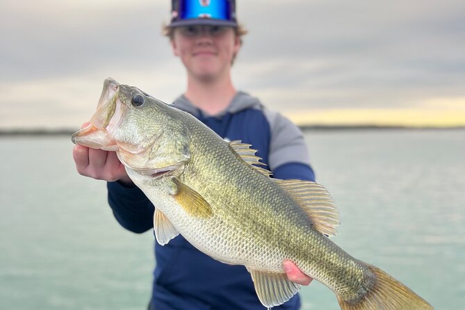 Guided Fishing Trip on Canyon Lake - The fish you came for: largemouth bass and local targets