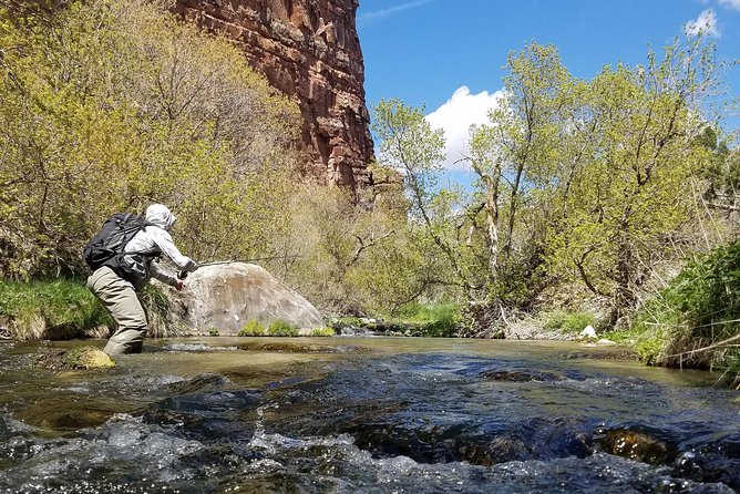 Guided Fly Fishing Experience in Park City - Casting Lessons With Real Context: Fish Habits and Bug Life