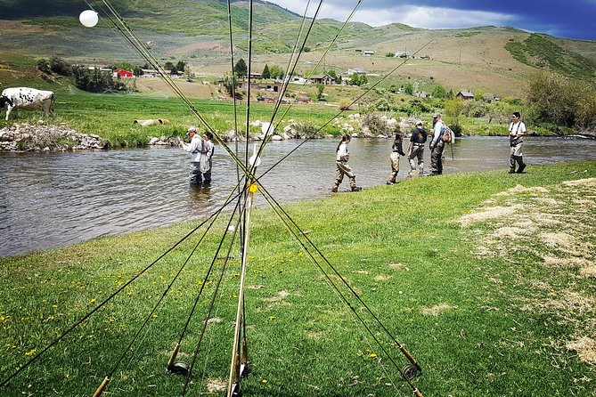 Guided Fly Fishing Experience in Park City - Price and Value: What $260 Really Buys You