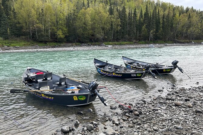 Half day Alaska Salmon Fishing on the Kenai Peninsula - Entering the river: what the Kenai spots usually feel like
