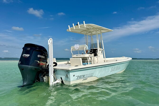 Half-Day Backcountry Fishing Charter from Key West - Target species by season: what you can hope to catch