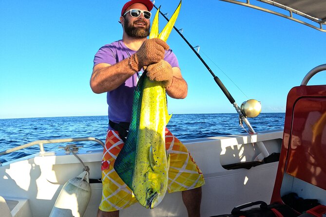 Half-day Big Fishing in Moorea on shared tour - Wildlife you might spot while you’re looking for fish