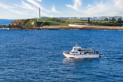 Half-Day Deep Sea Fishing in Wollongong - Weekdays only - Where you’ll fish: Stanwell Park to Shellharbour, out to 10Nm