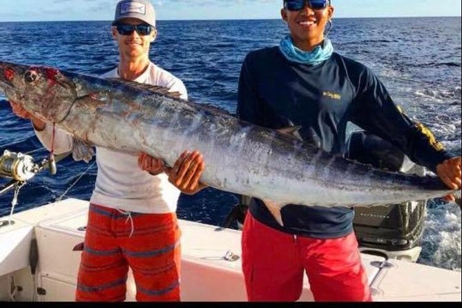 Half day Deep sea/light tackle fishing charters - Quick hits before you go