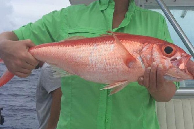Half day Deep sea/light tackle fishing charters - Nassau Private Fishing: why this half-day charter works