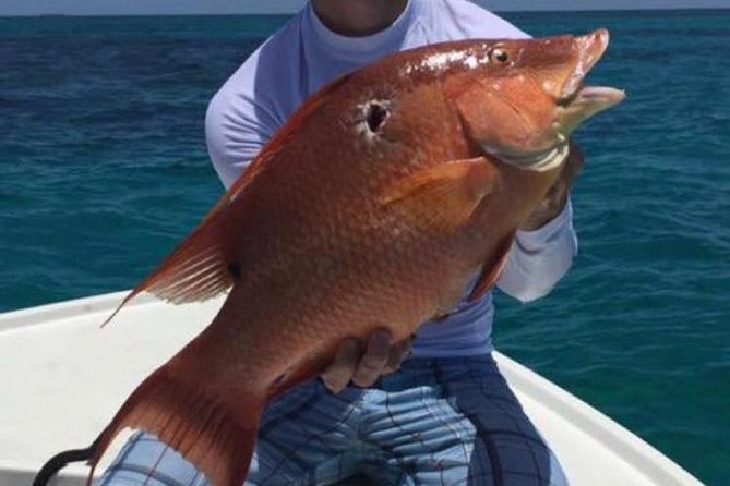 Half day Deep sea/light tackle fishing charters - Picking a technique: trolling, deep dropping, or light tackle