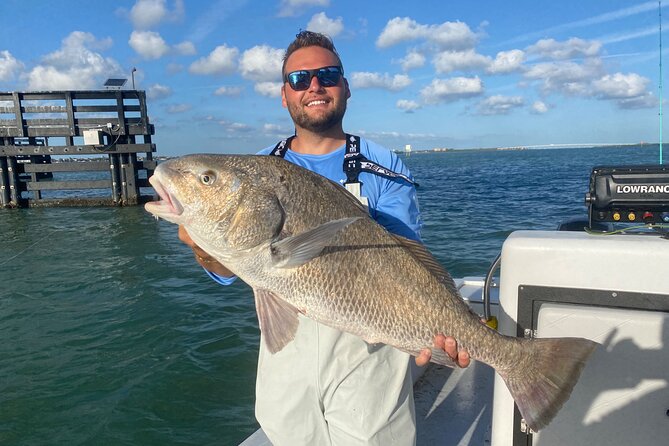 Half day fishing Charter in St. Petersburg Florida - Species Targets: Snook, Tarpon, Redfish, Sea Trout (and More)