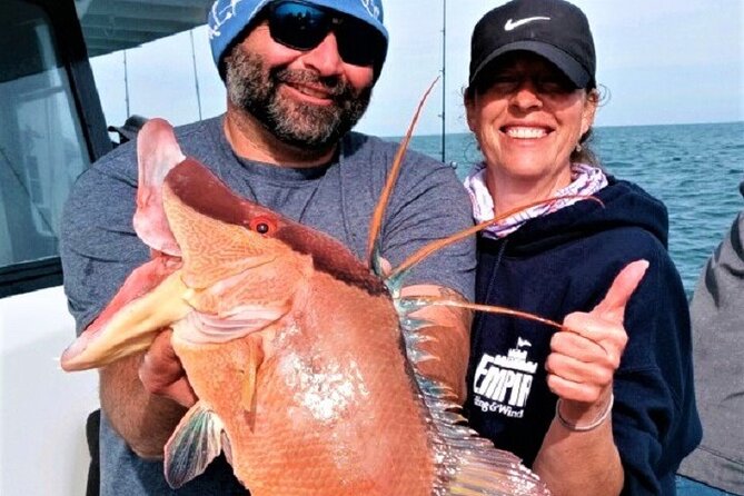 Half Day Fishing Experience from John's Pass in Madeira Beach, FL - 5 Hours - Key Highlights You’ll Care About