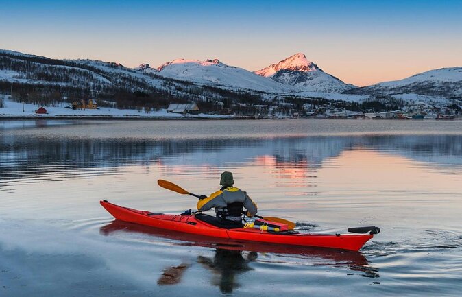 Half-Day Fishing & Fjord Cruise Adventure from Tromsø in Norway - Key highlights worth waking up for
