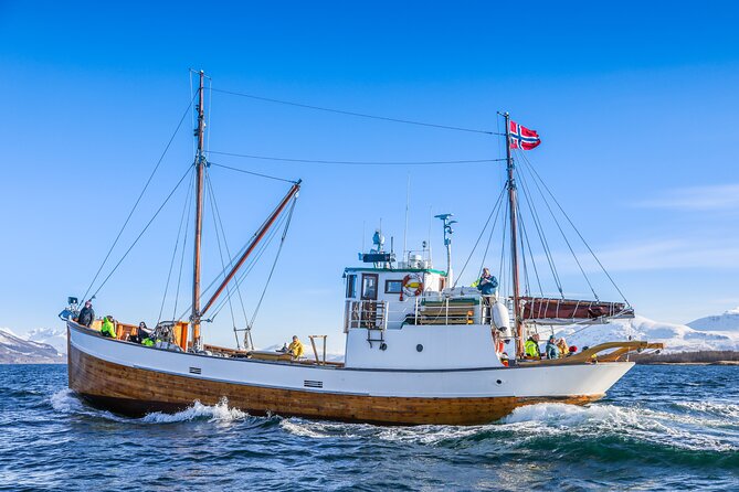 Half-Day Fishing & Fjord Cruise Adventure from Tromsø in Norway - The vibe: fishing energy on a calm Arctic cruise