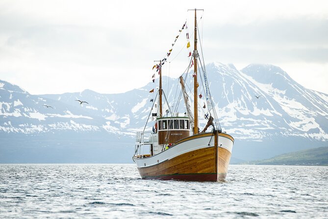 Half-Day Fishing & Fjord Cruise Adventure from Tromsø in Norway - Where you go: from Arctic Cathedral to the fjords