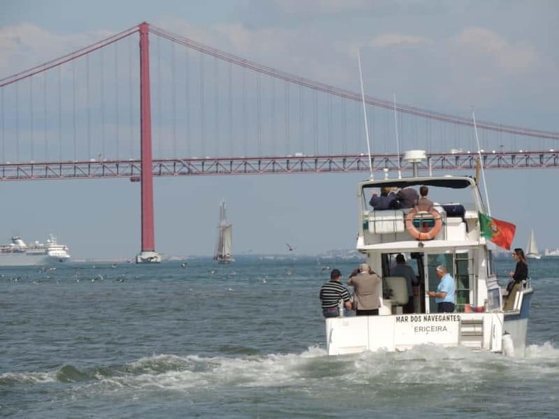 Half Day Fishing Trip - Out at Sea: Secret Fishing Spots and Real Conditions