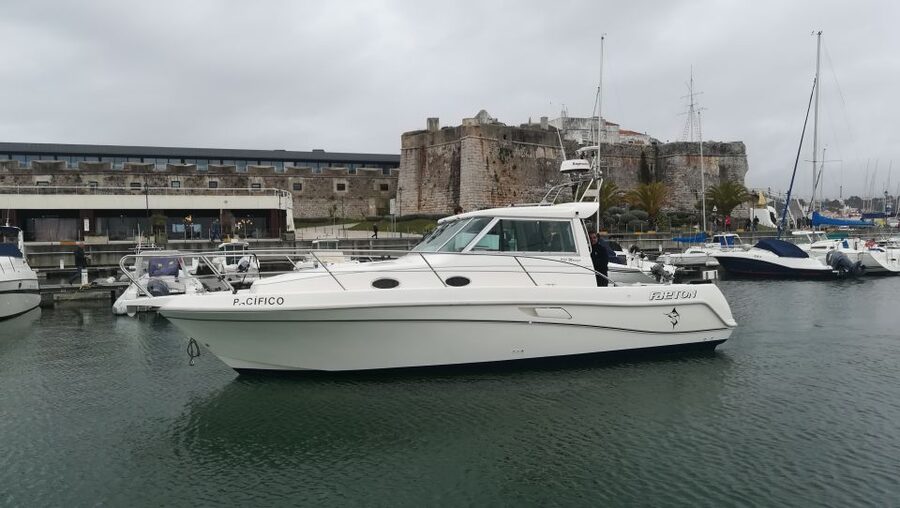Half Day Fishing Trip - How the 3-Hour Timing Feels in Real Life