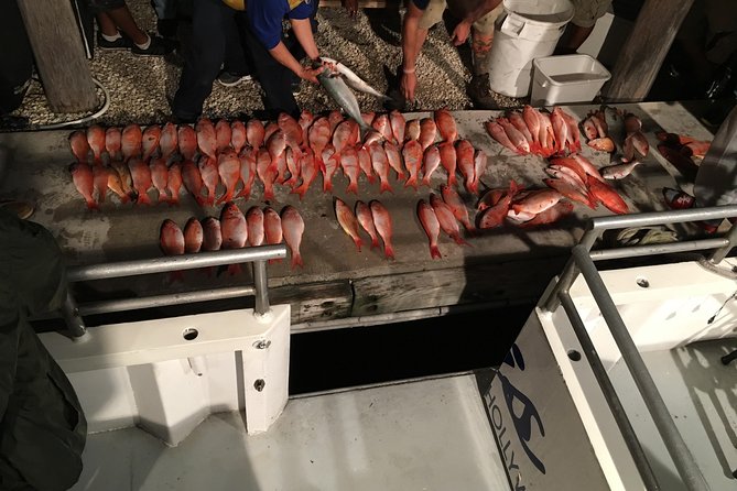Half-Day Fishing Trip in Fort Lauderdale - Half-Day Fishing in Fort Lauderdale: what you’re really buying