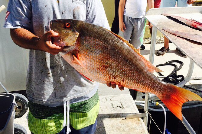 Half-Day Fishing Trip in Fort Lauderdale - Weather and sea conditions: the swing factor