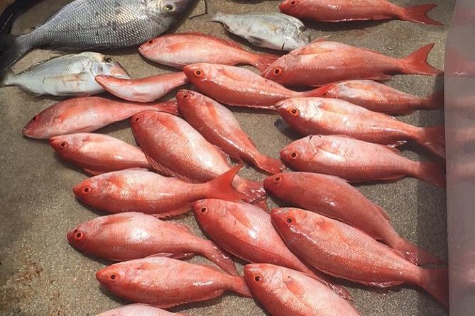 Half-Day Fishing Trip in Fort Lauderdale - The 4-hour flow: how the trip usually feels on the water