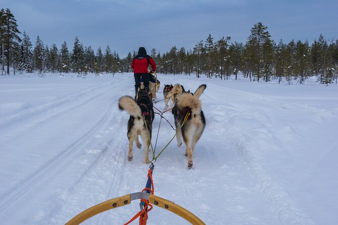 Half-Day Husky Safari and Salmon Ice Fishing Experience - Husky safari setup: couples on one sled, guidance the whole way