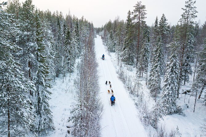 Half-Day Husky Safari and Salmon Ice Fishing Experience - The kota finish: snack, stories, and salmon soup vibes