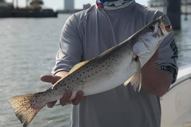 Half-Day Jetty Fishing Trip from Galveston - Safety Rules You Should Know Before Booking