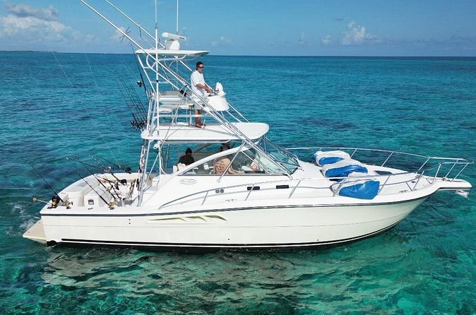 Half Day Luxury Private Fishing Charters in Cayman Islands - Stingray City sandbar and Coral Gardens: free add-ons with a clear tradeoff