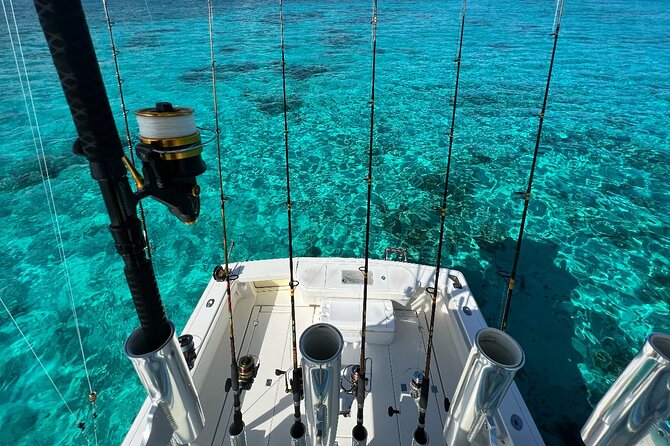 Half Day Luxury Private Fishing Charters in Cayman Islands - Reef fishing in North Sound: your target list and what the 4 hours means