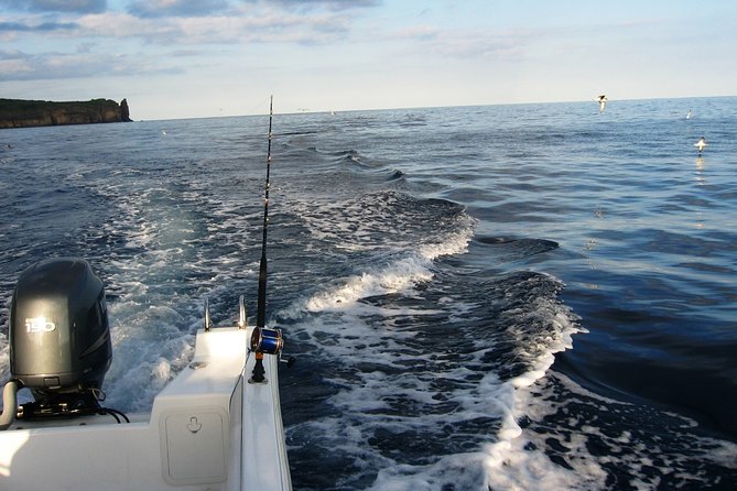 Half-Day Private Coastal Fishing Escape - Trilhos da Natureza briefing at Acores: the 10 minutes that set you up