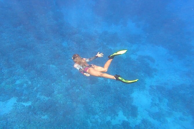 Half Day Private Cruise Tour with Snorkeling and Fishing in Kona - Key highlights to know before you go