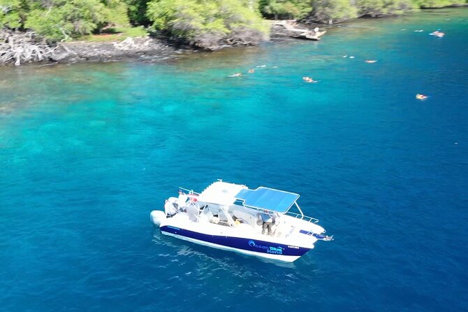 Half Day Private Cruise Tour with Snorkeling and Fishing in Kona - Sea Turtles, Reef Fish, and Dolphin Sightings While You Cruise
