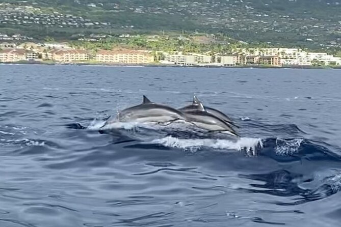 Half Day Private Cruise Tour with Snorkeling and Fishing in Kona - How to Pack for Kona Snorkeling and Fishing