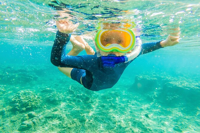 Half Day Private Cruise Tour with Snorkeling and Fishing in Kona - Who This Half-Day Private Cruise Fits Best