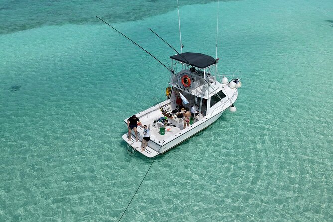 Half Day Private Fishing Charter in Cozumel - Stop-by-stop: Caleta check-in, sea time, and optional snorkeling