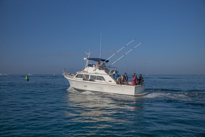 Half-Day Private Fishing Experience in Alanya - Swimming, sun time, and watching for dolphins