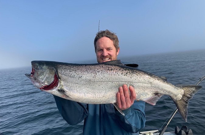 Half-Day Private Salmon Fishing in Ketchikan - The salmon you can target (and how the king stamp changes the game)