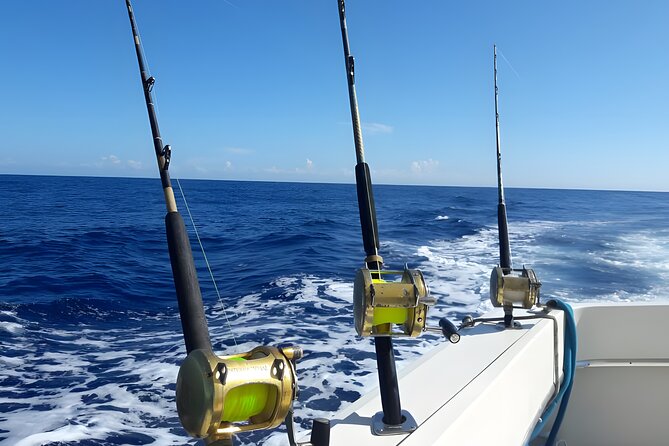 Half Day Sport Fishing Excursion Departing from Sosua - Sosua at 7:30am: how the timing really works