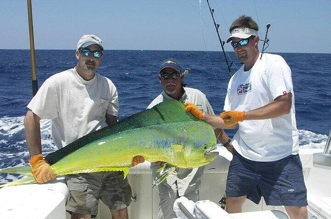 Half Day Sport Fishing Excursion Departing from Sosua - Gear, insurance, and the kind of peace of mind you can feel