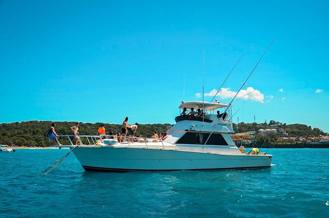 Half Day Sport Fishing Excursion Departing from Sosua - Weather reality: why the day you book matters