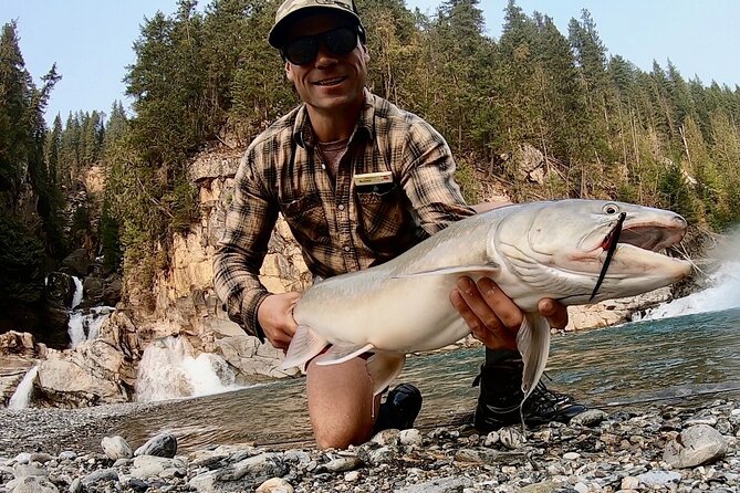 Half Day Walk&Wade (Fly-Fishing / Spin Casting from shore) - Key highlights at a glance