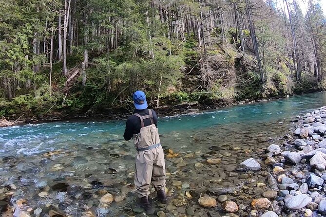 Half Day Walk&Wade (Fly-Fishing / Spin Casting from shore) - Fly-Fishing or Spin Casting From Shore: Pick What Matches Your Day