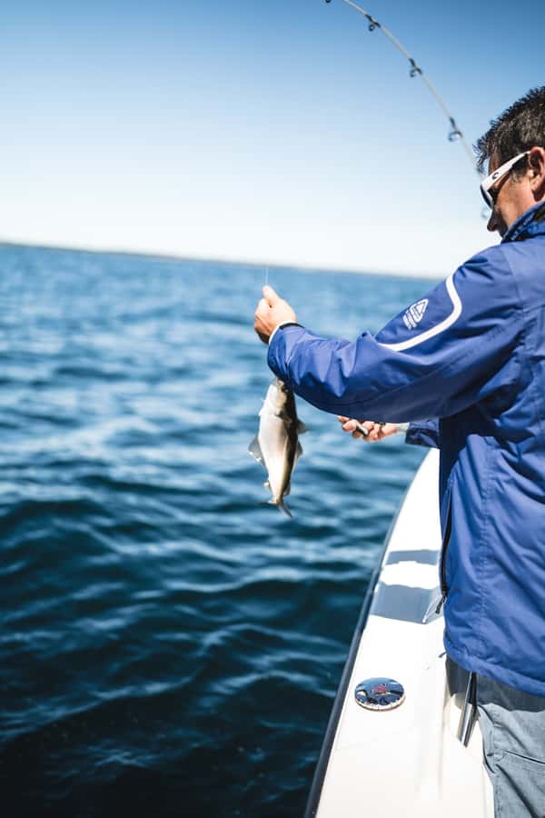 Halifax: 2-Hour Deep Sea Fishing Tour - What to Bring: Sun, Water, and a Camera Moment
