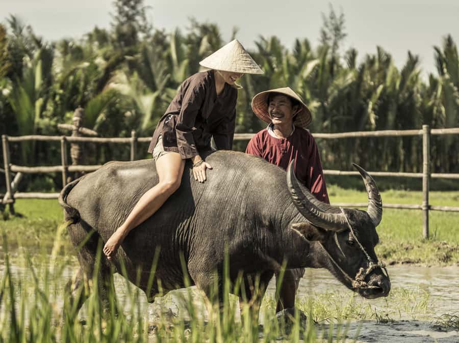 Hoi An : Eco Bicycle Tour with Fishing and Lunch/Dinner - From hotel pickup to rice fields: your easy-going bike day