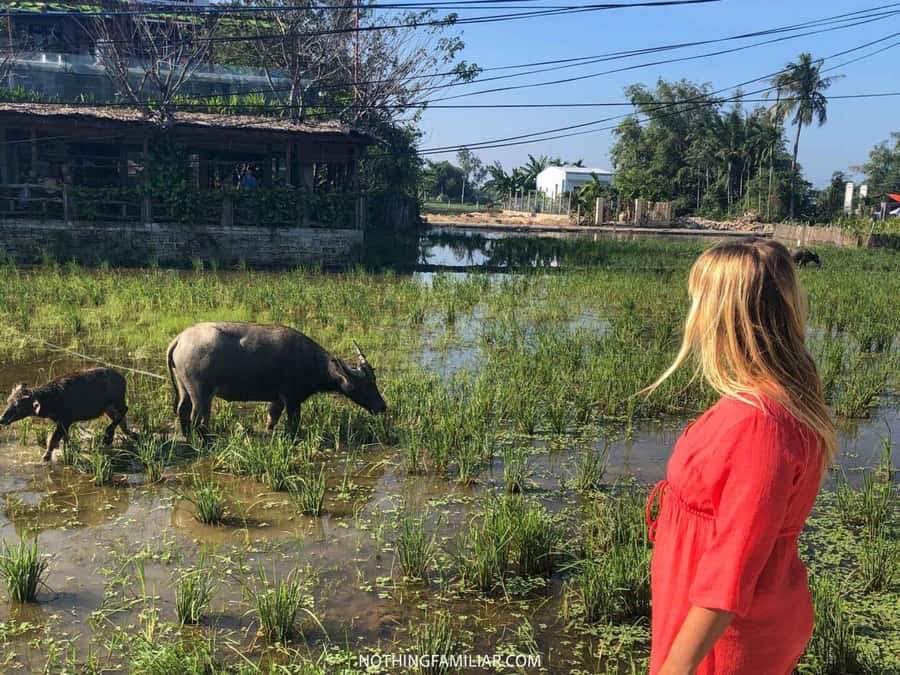 Hoi An : Eco Bicycle Tour with Fishing and Lunch/Dinner - Lunch or dinner at a farmer’s house: the food is the payoff